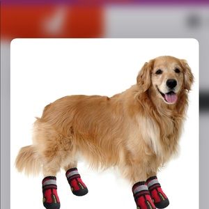 Qumypets | Dog Booties